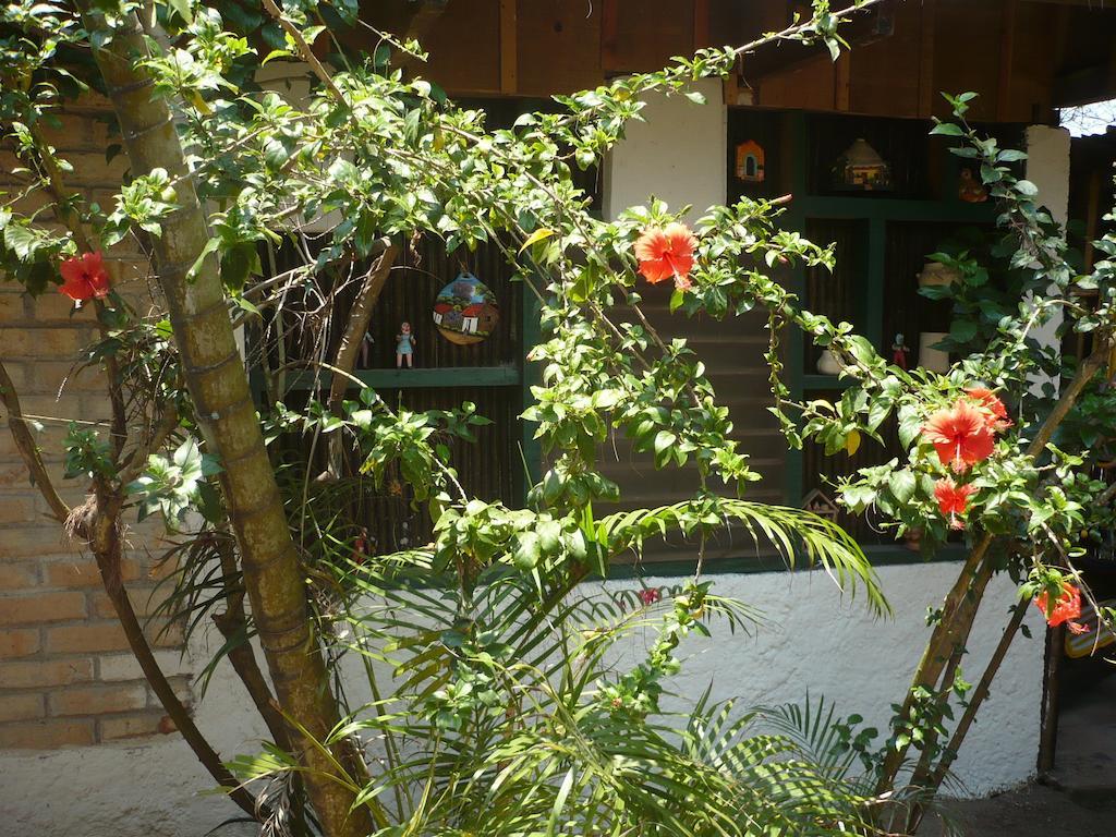 Caribbean Coral Inn Tela Exterior photo